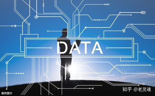 大數(shù)據(jù)的處理流程與數(shù)據(jù)處理服務(wù)概述